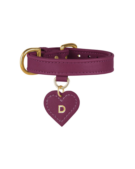 Collar in [ fig pie ]