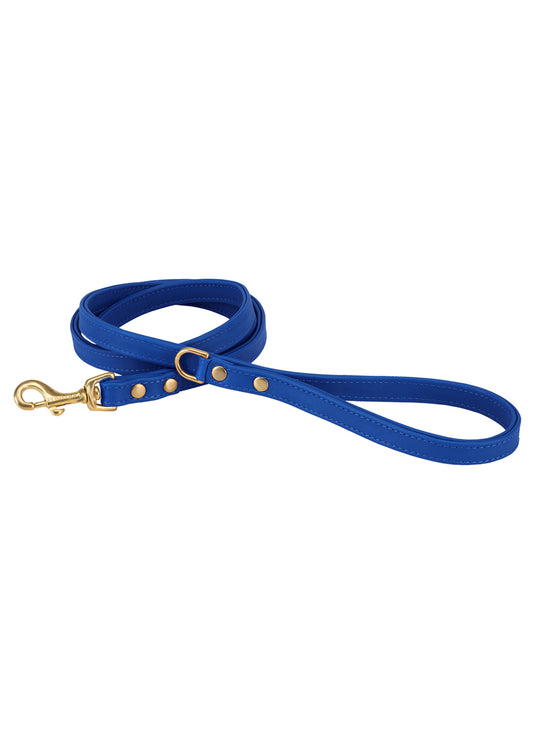 Leash in [ blue m&m's ]