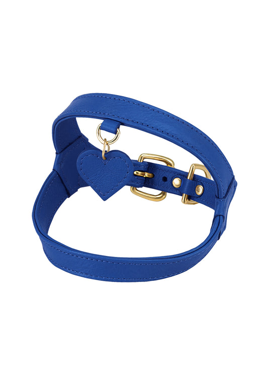 Harness in [ blue m&m's ]
