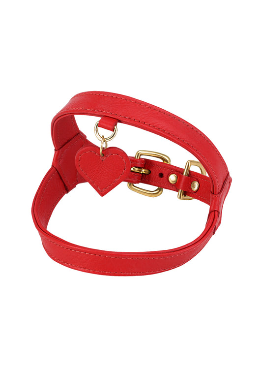 Harness in [ cherry coke ]