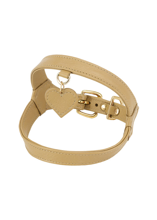 Harness in [ champagne ]