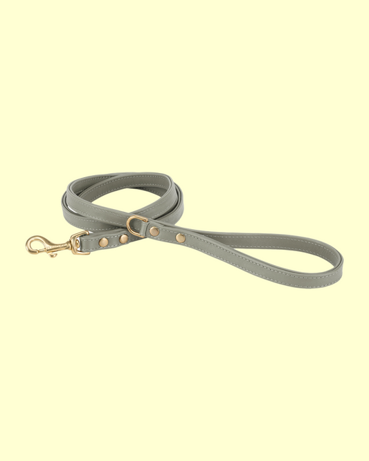 Leash in [ pistachio ]
