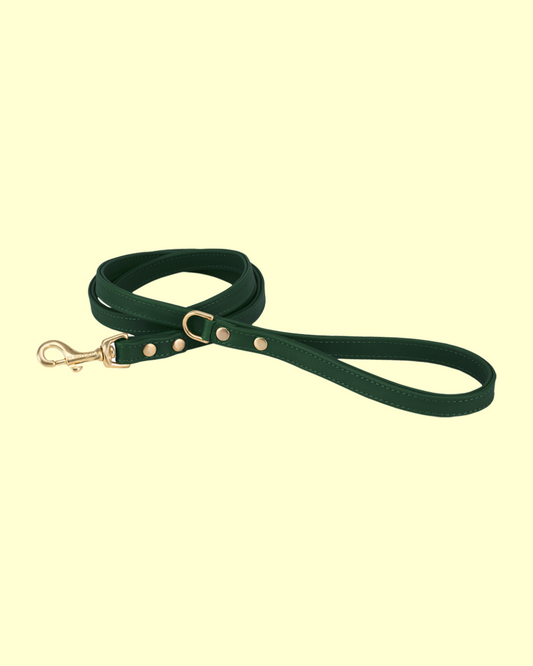 Leash in [ avocado skin ]