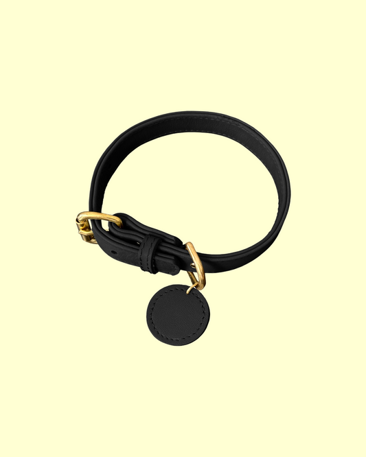 Collar in [ black caviar ]
