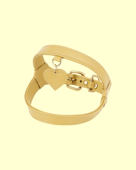Harness in [ butter yellow ]