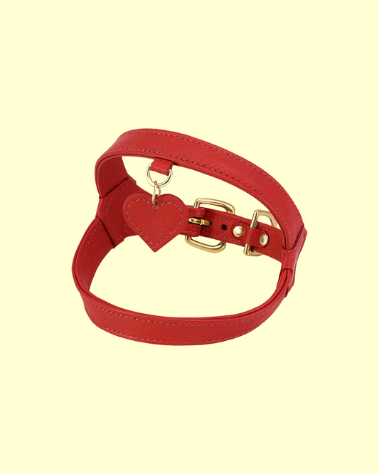 Harness in [ red velvet ]