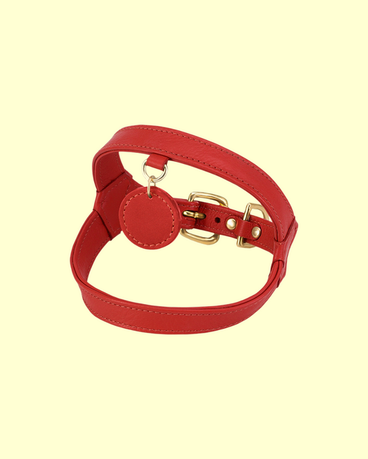 Harness in [ red velvet ]