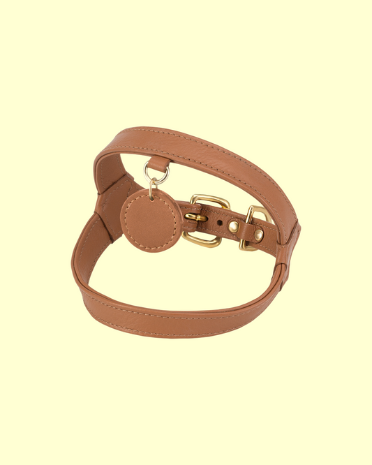 Harness in [ caramel ]