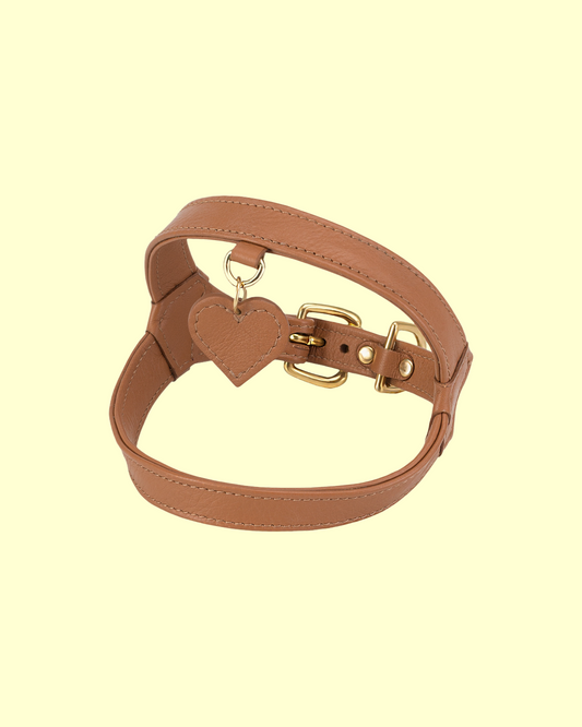 Harness in [ caramel ]