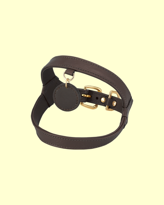 Harness in [ chocolate ]