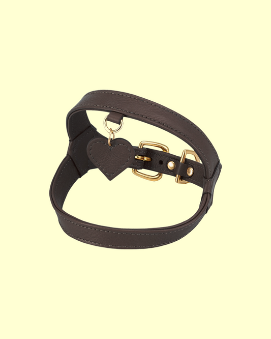 Harness in [ chocolate ]