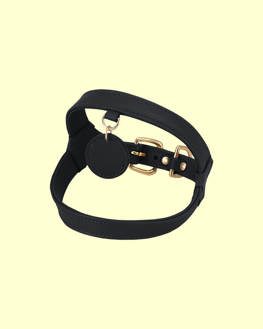 Harness in [ black caviar ]