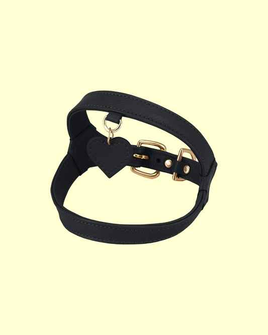 Harness in [ black caviar ]