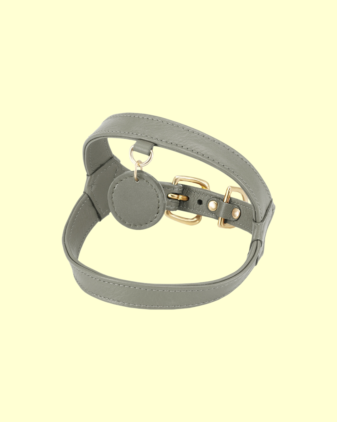 Harness in [ pistachio ]