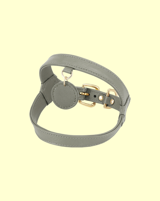 Harness in [ pistachio ]