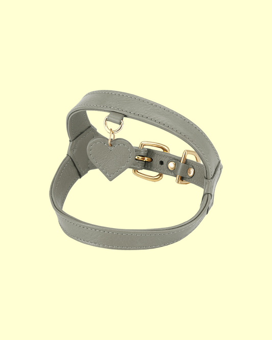 Harness in [ pistachio ]