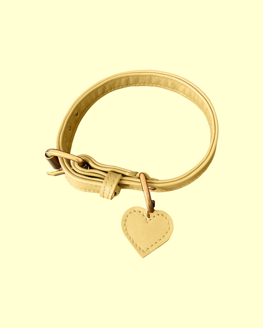 Collar in [ butter yellow ]