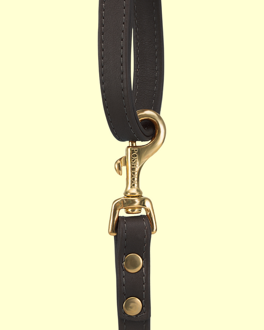 Leash in [ chocolate ]