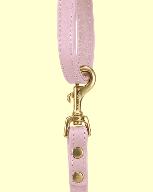 Leash in [ strawberry icecream ]