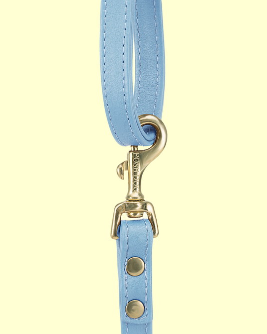 Leash in [ POSH blue ]