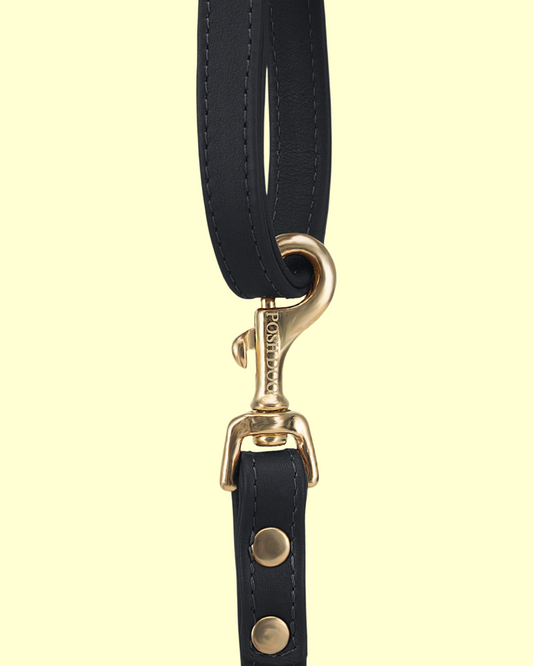 Leash in [ black caviar ]
