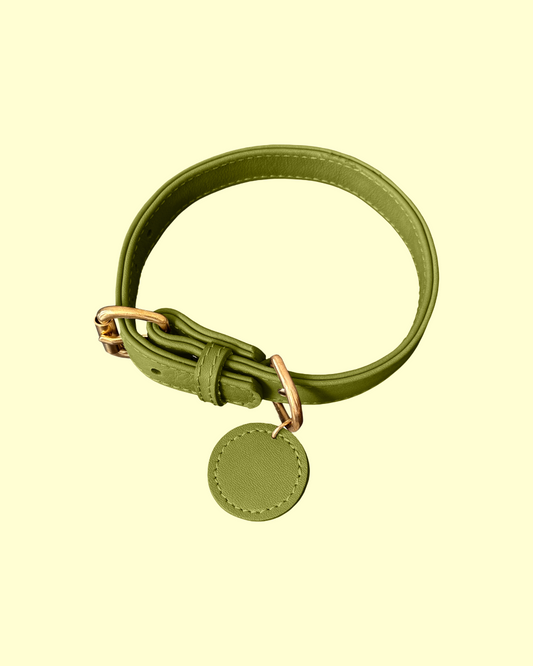 Collar in [ iced matcha ]
