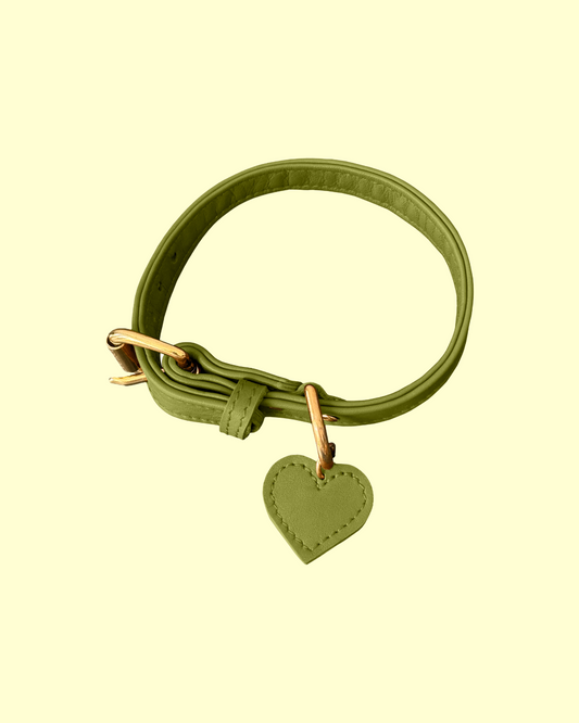 Collar in [ iced matcha ]